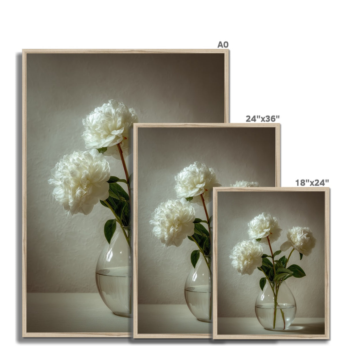 Jen Fargeot Creative | Botanical | Wall Art | White Peonies | Framed Print