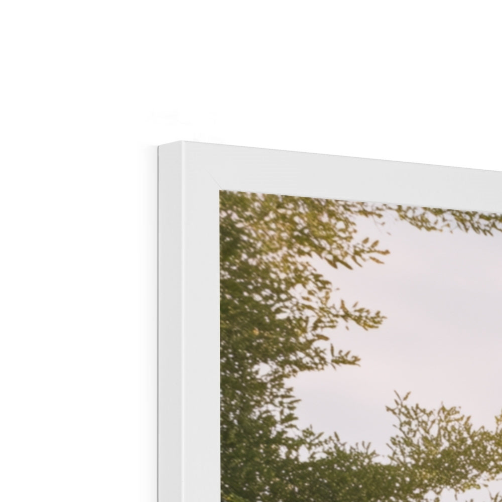 Jen Fargeot Creative | Architecture | Wall Art | The Mansion's Poolside (2) | Framed Print