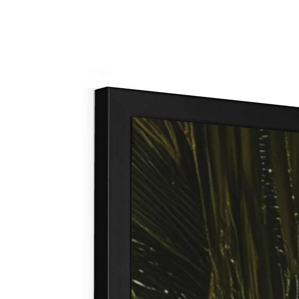 Jen Fargeot Creative | Beach | Wall Art | Underneath the Palm Trees | Framed Print