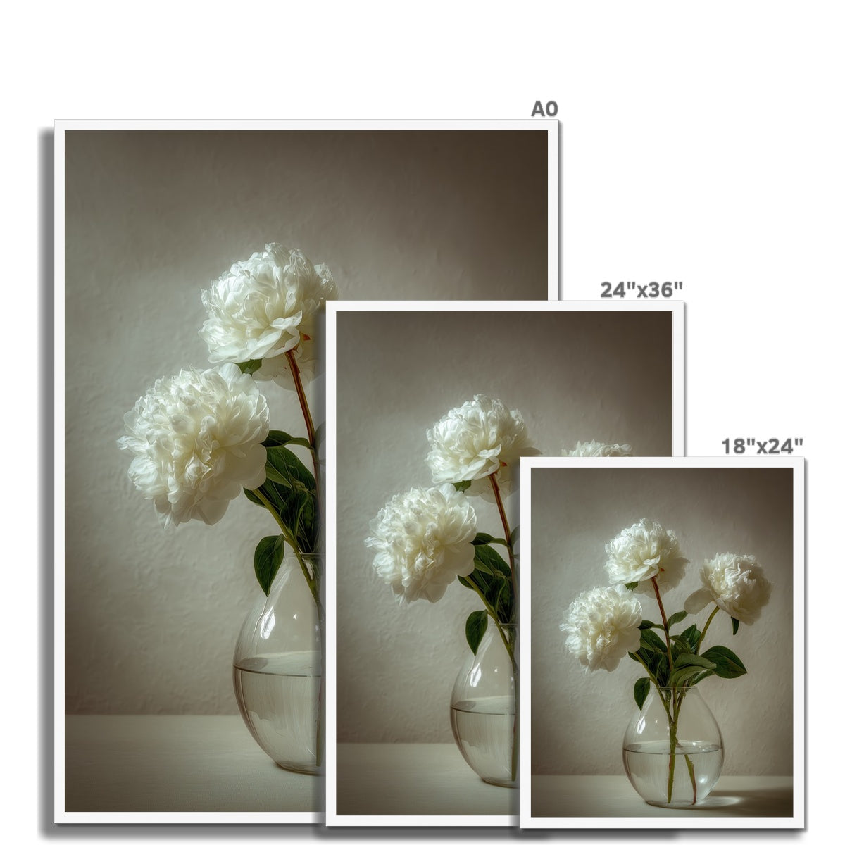 Jen Fargeot Creative | Botanical | Wall Art | White Peonies | Framed Print