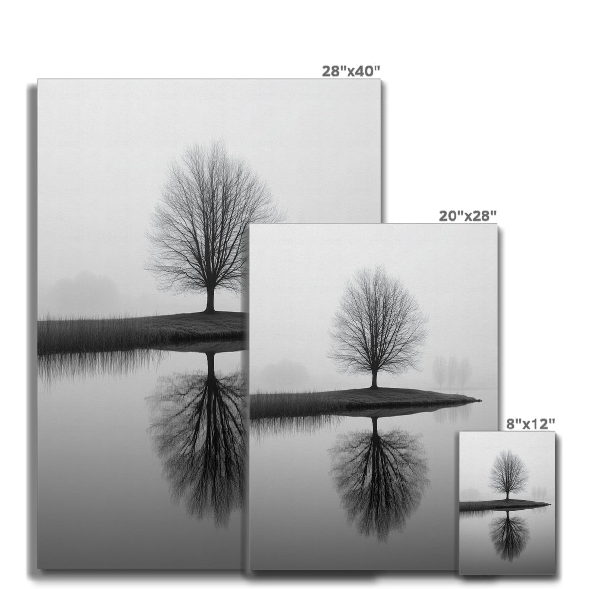Jen Fargeot Creative | Black & White | Wall Art | Reflection of Silent Strength Tree | Canvas