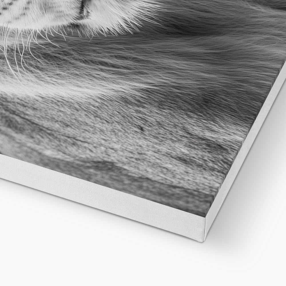 Jen Fargeot Creative | Animal | Wall Art | The Lioness’ Gaze | Canvas