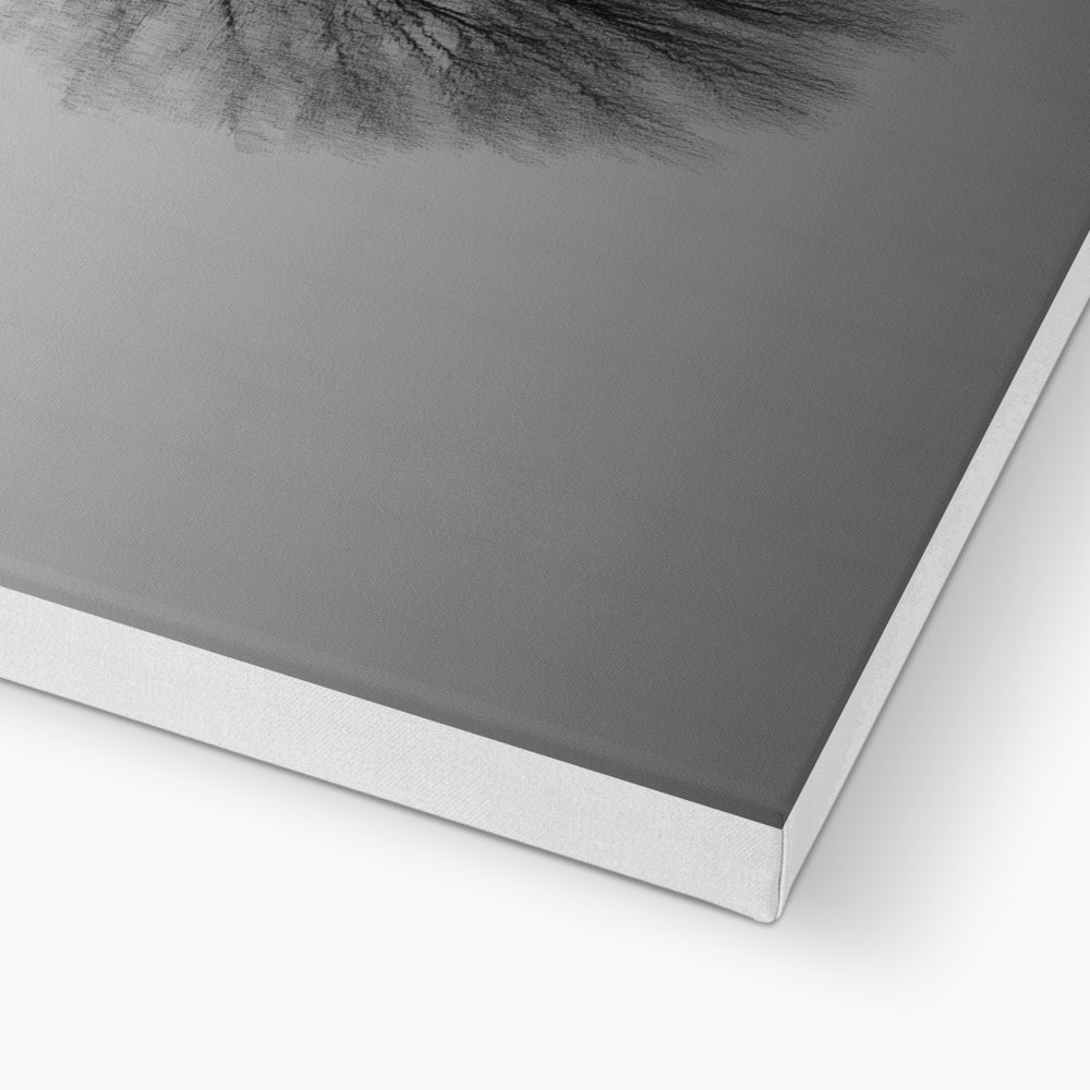 Jen Fargeot Creative | Black & White | Wall Art | Reflection of Silent Strength Tree | Canvas