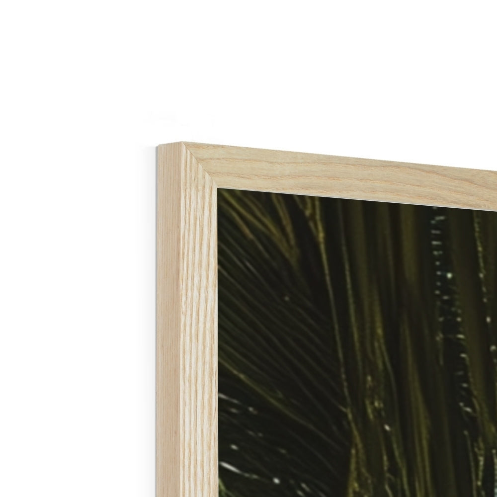Jen Fargeot Creative | Beach | Wall Art | Underneath the Palm Trees | Framed Print