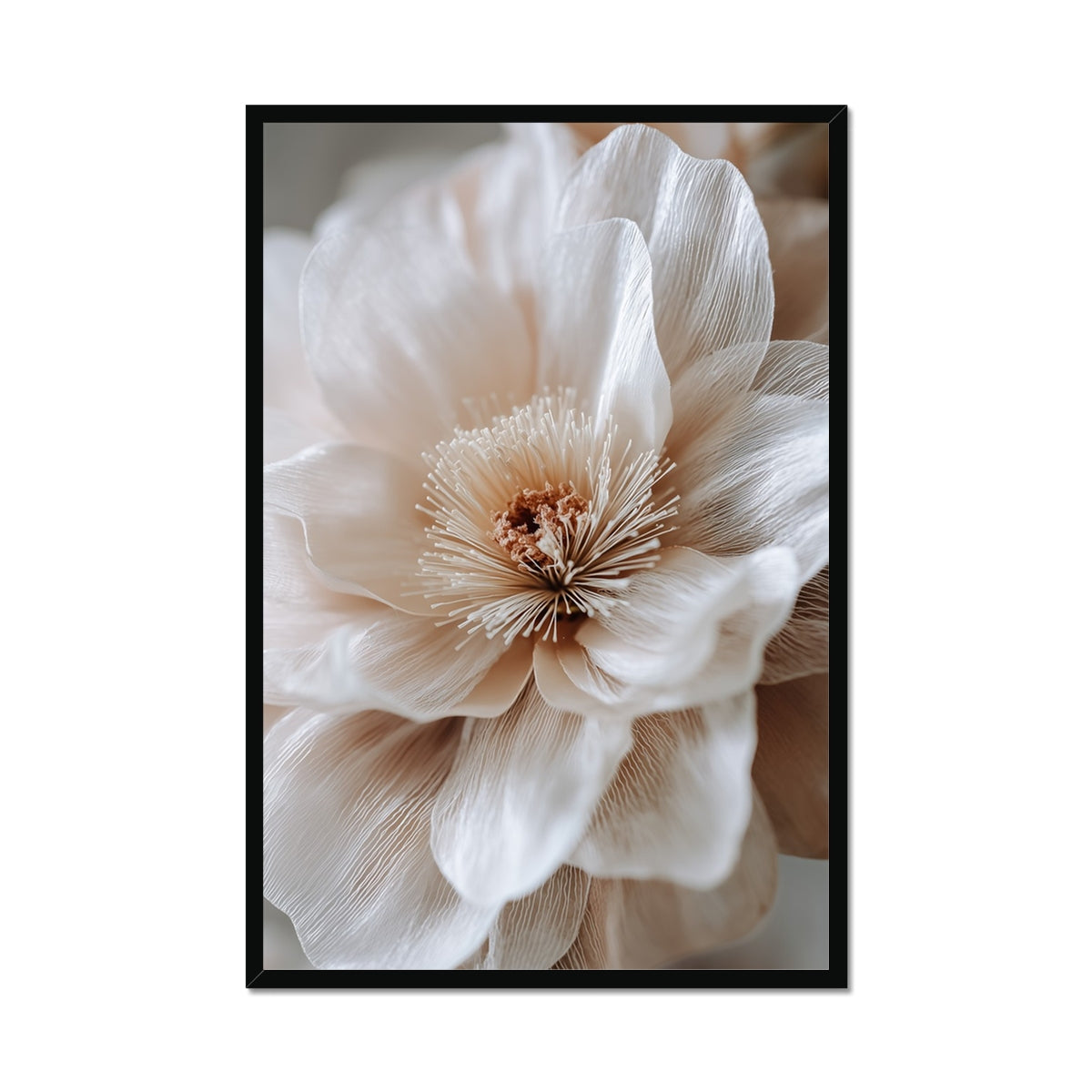 Jen Fargeot Creative | Botanical | Wall Art | Silk Petals (2) | Framed Print