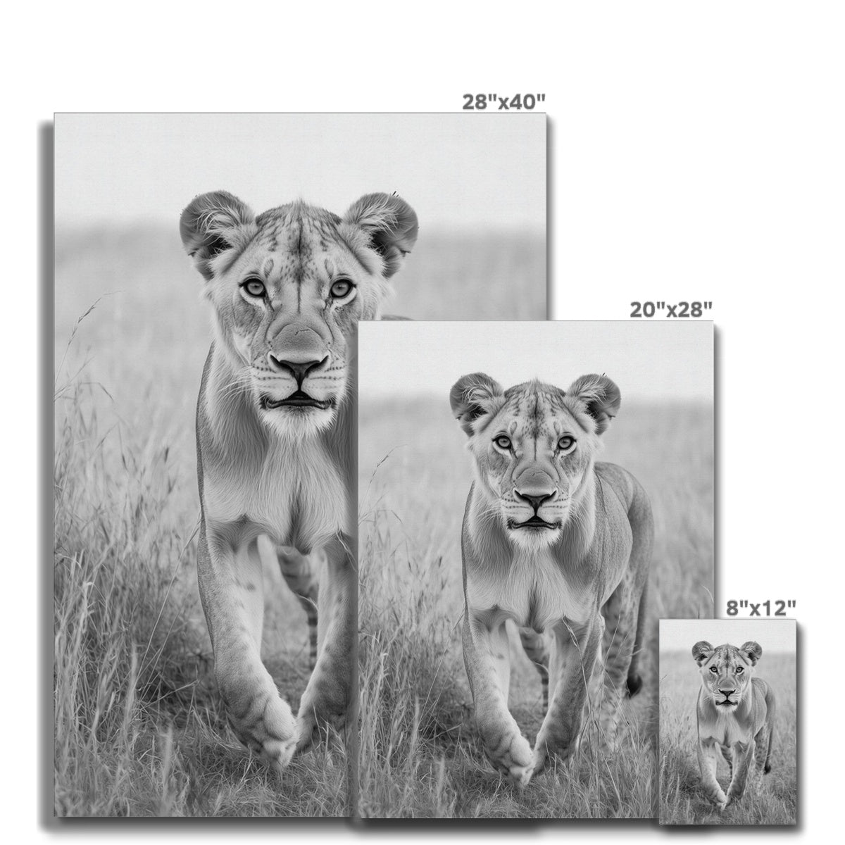 Jen Fargeot Creative | Animal | Wall Art | Grace In The Wild | Canvas