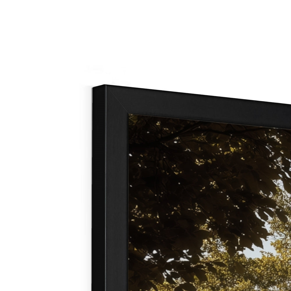 Jen Fargeot Creative | Architecture | Wall Art | The Mansion's Poolside | Framed Print