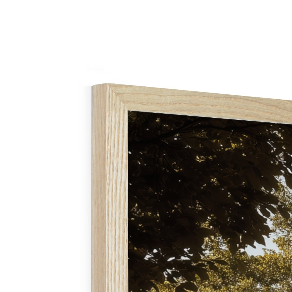 Jen Fargeot Creative | Architecture | Wall Art | The Mansion's Poolside | Framed Print