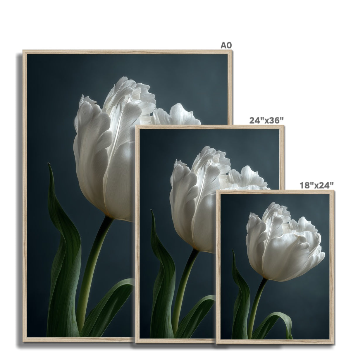 Jen Fargeot Creative | Botanical | Wall Art | Feather Tulip | Framed Print