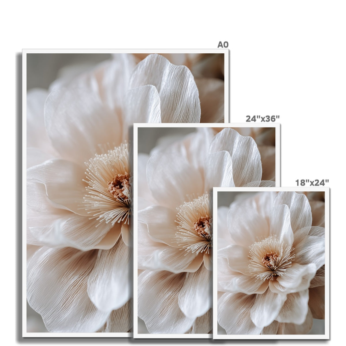 Jen Fargeot Creative | Botanical | Wall Art | Silk Petals (2) | Framed Print