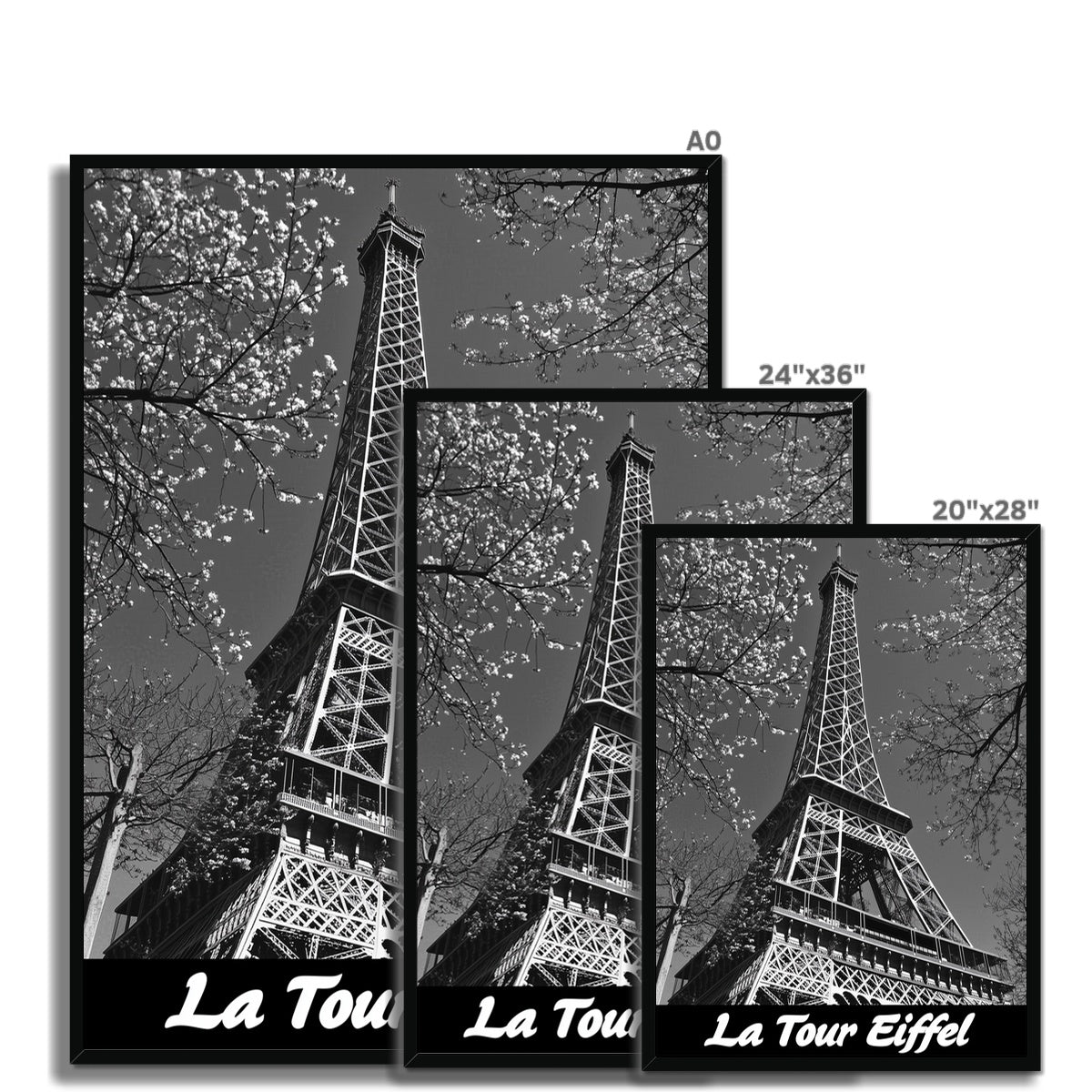 Jen Fargeot Creative | Black & White | Wall Art | La Tour Eiffel | Framed Print