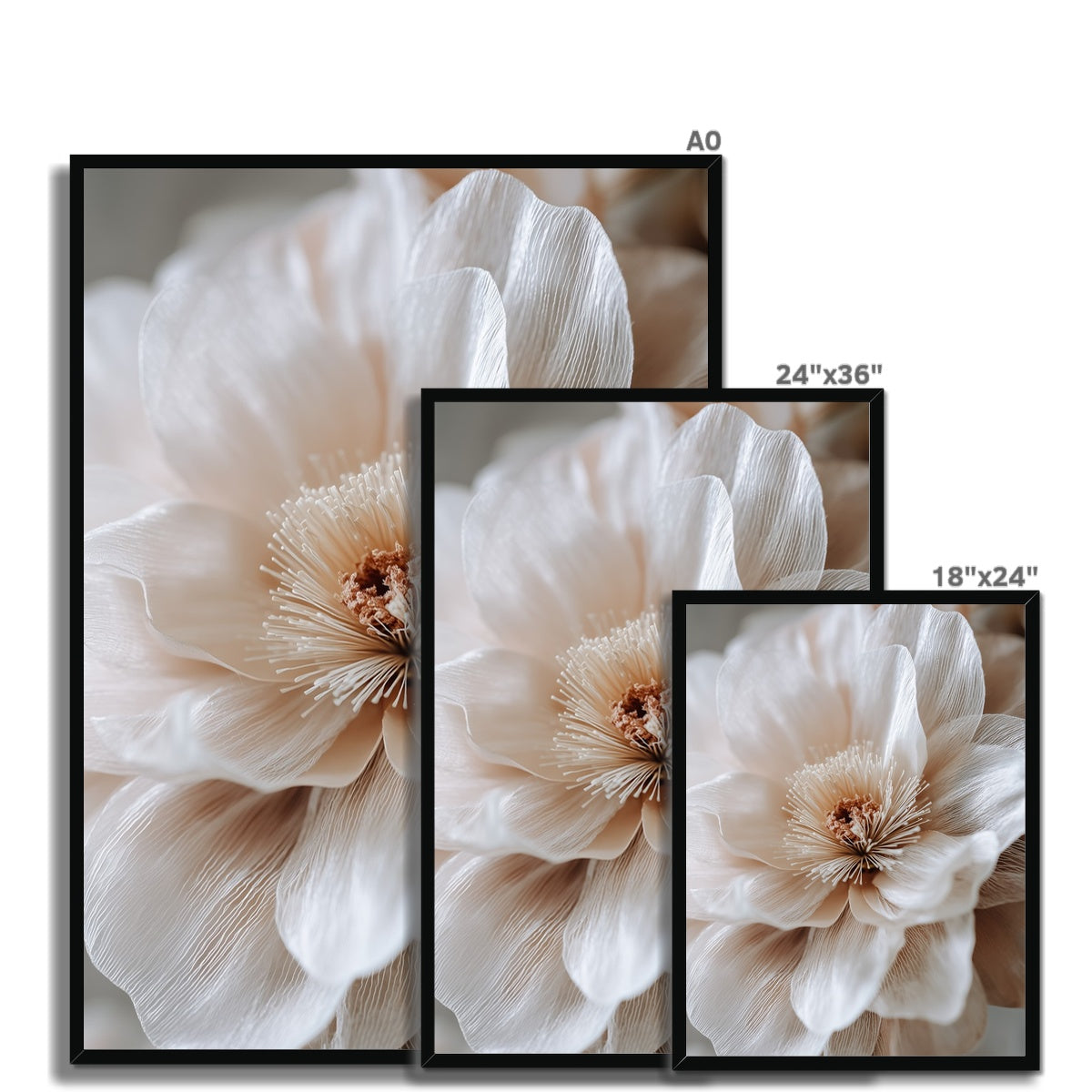 Jen Fargeot Creative | Botanical | Wall Art | Silk Petals (2) | Framed Print