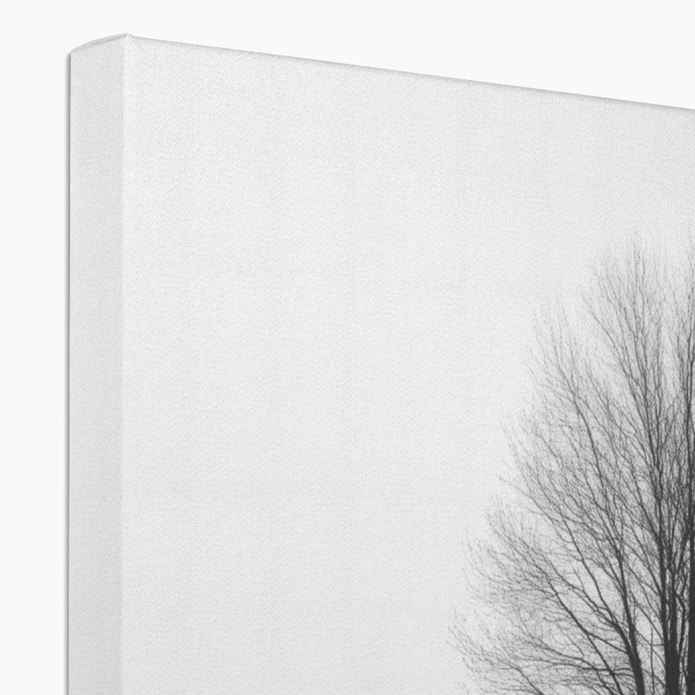 Jen Fargeot Creative | Black & White | Wall Art | Reflection of Silent Strength Tree | Canvas