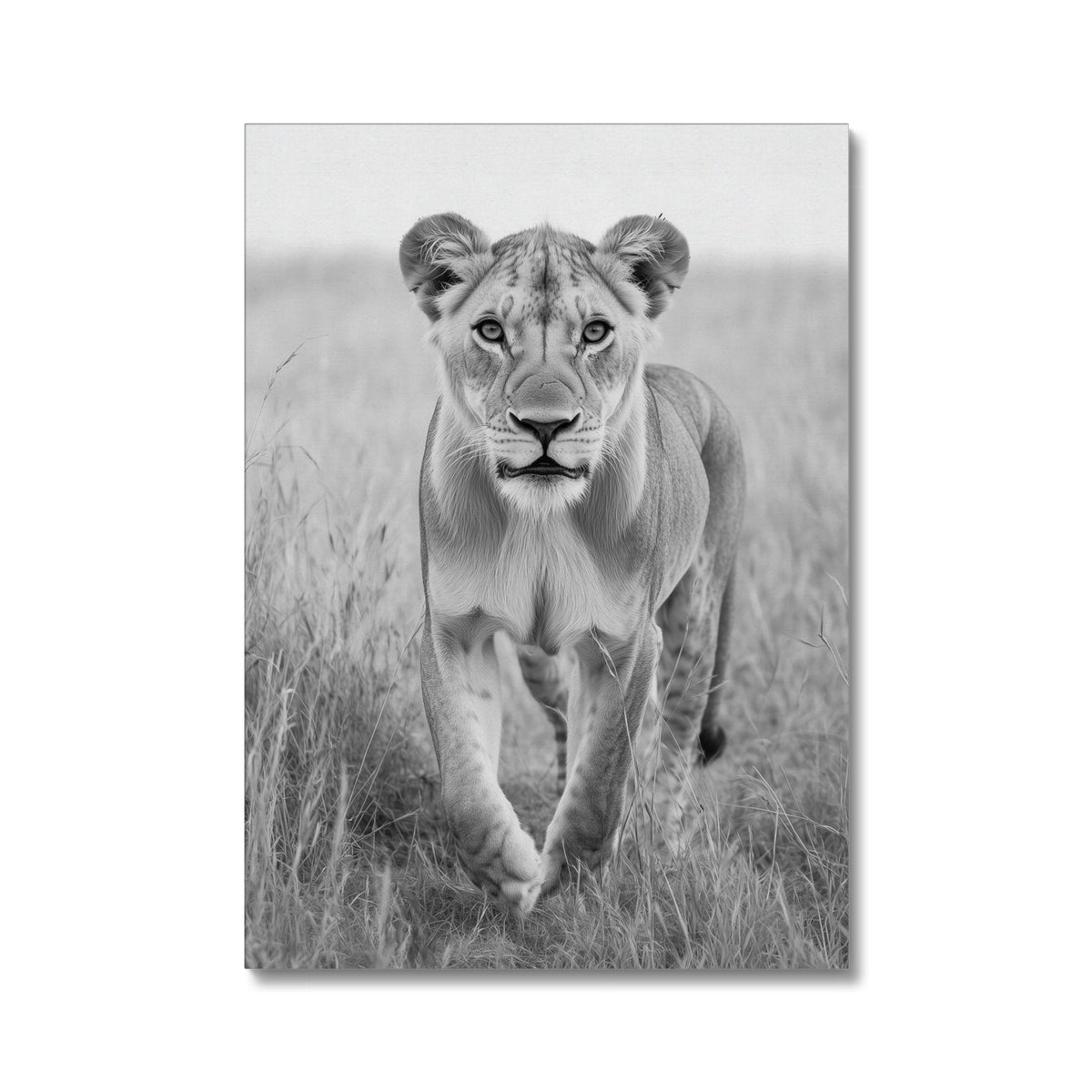 Jen Fargeot Creative | Animal | Wall Art | Grace In The Wild | Canvas