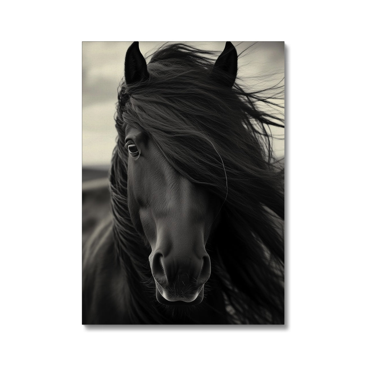 Jen Fargeot Creative | Animal | Wall Art | Horse in the Wind | Canvas