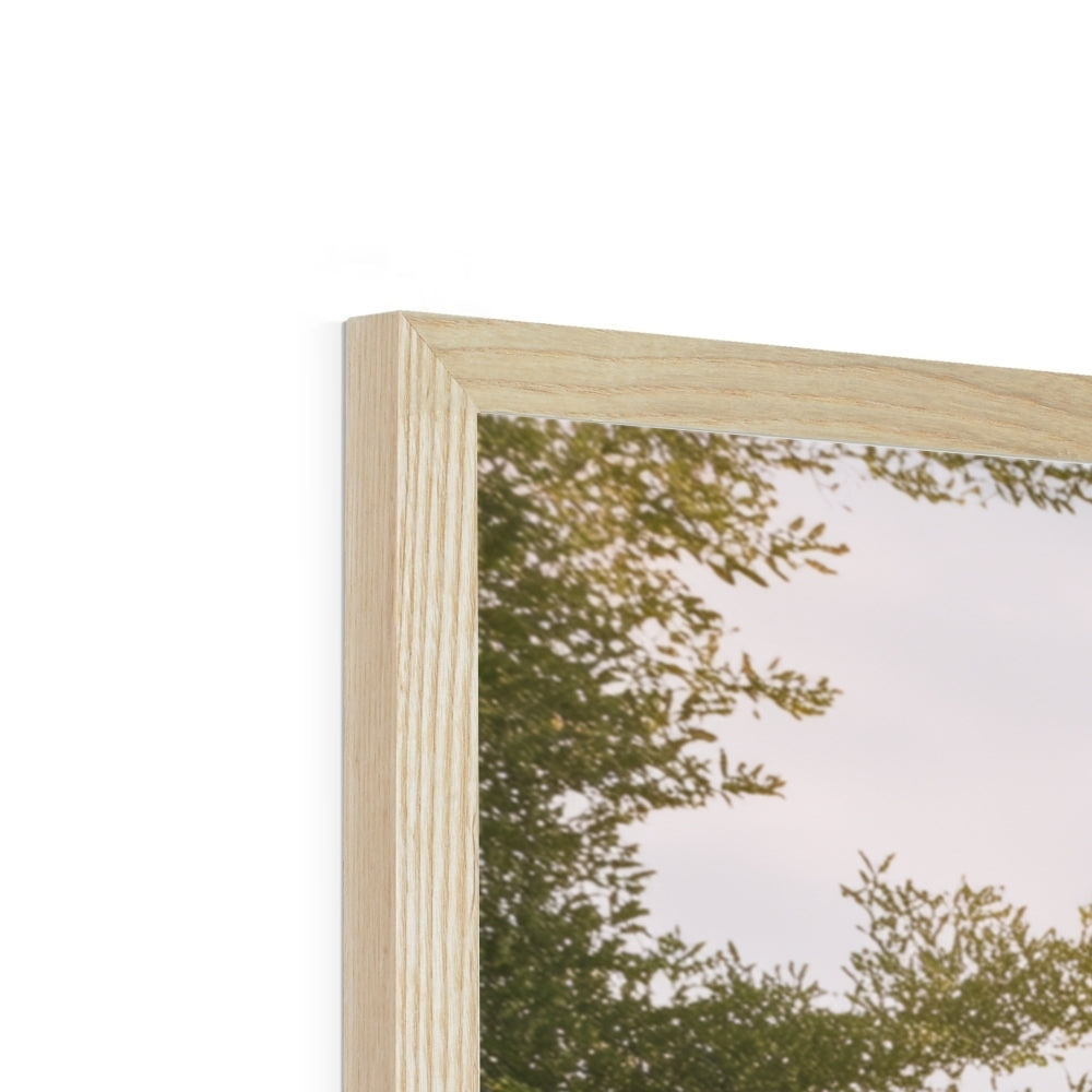 Jen Fargeot Creative | Architecture | Wall Art | The Mansion's Poolside (2) | Framed Print