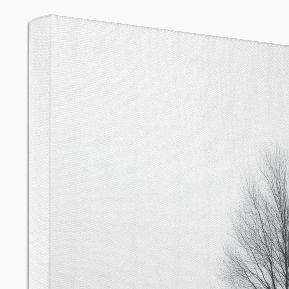 Jen Fargeot Creative | Black & White | Wall Art | Reflection of Silent Strength Tree | Canvas