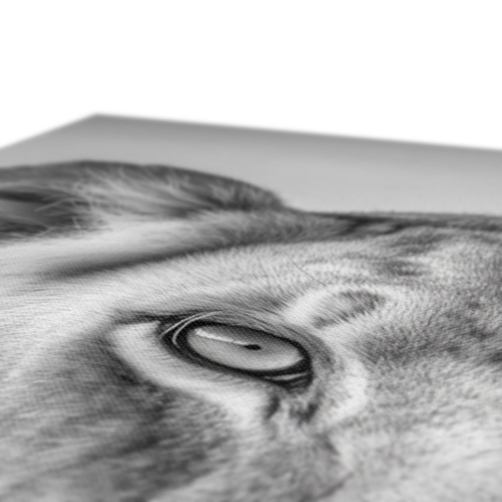 Jen Fargeot Creative | Animal | Wall Art | The Lioness’ Gaze | Canvas
