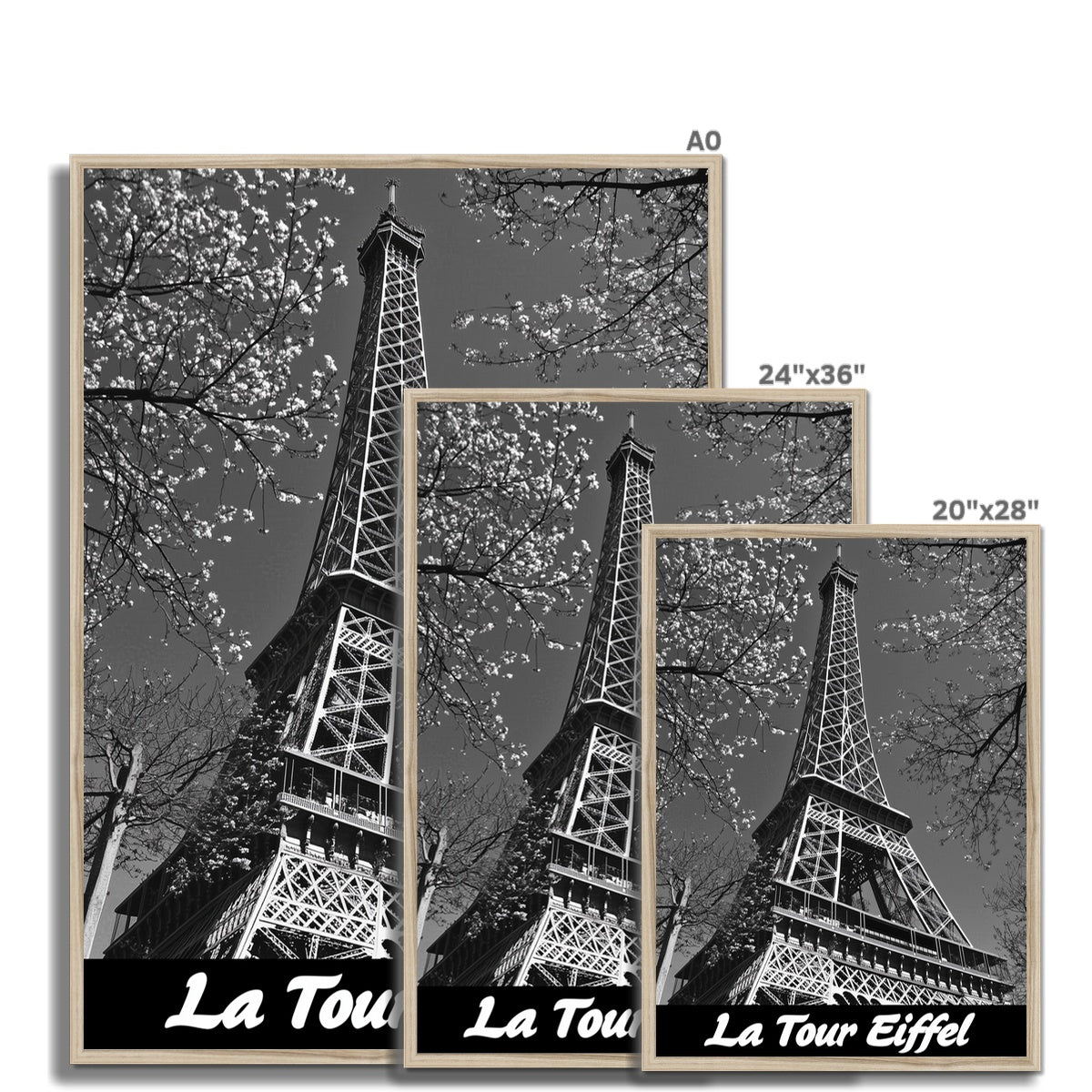 Jen Fargeot Creative | Black & White | Wall Art | La Tour Eiffel | Framed Print