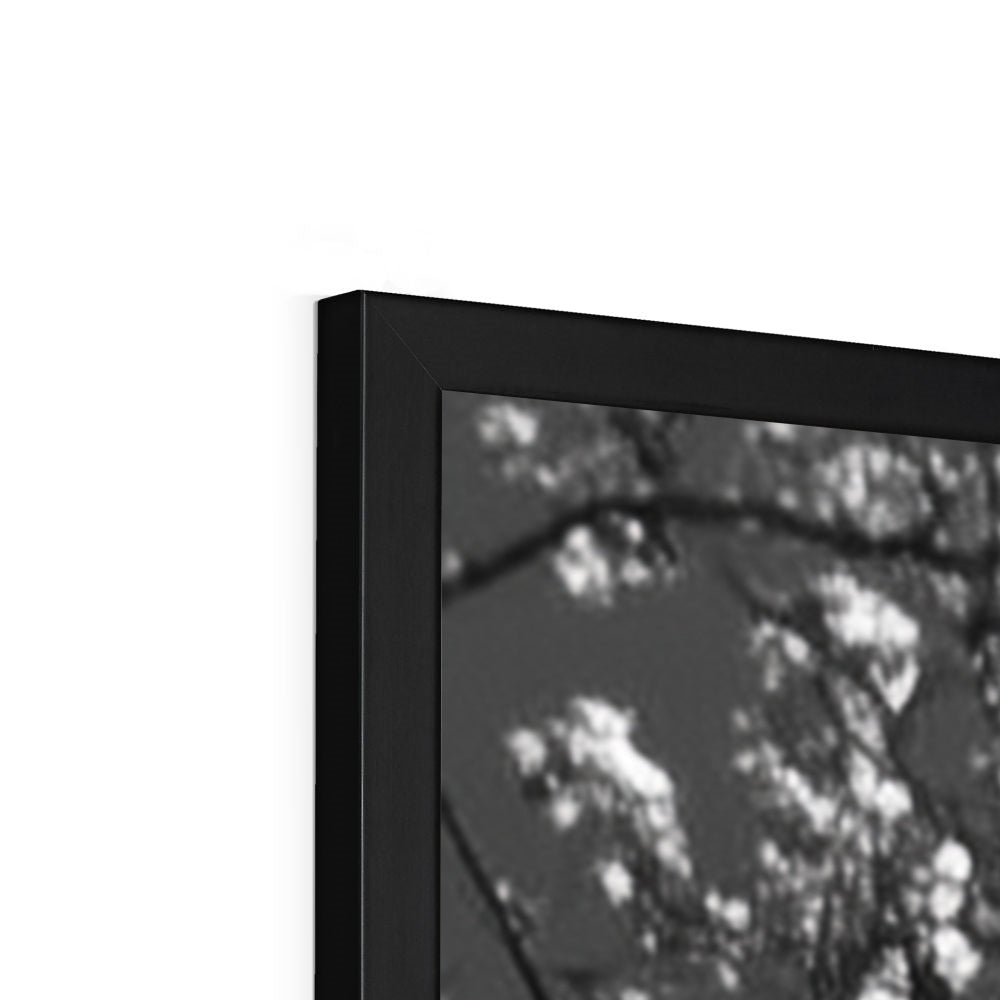 Jen Fargeot Creative | Black & White | Wall Art | La Tour Eiffel | Framed Print