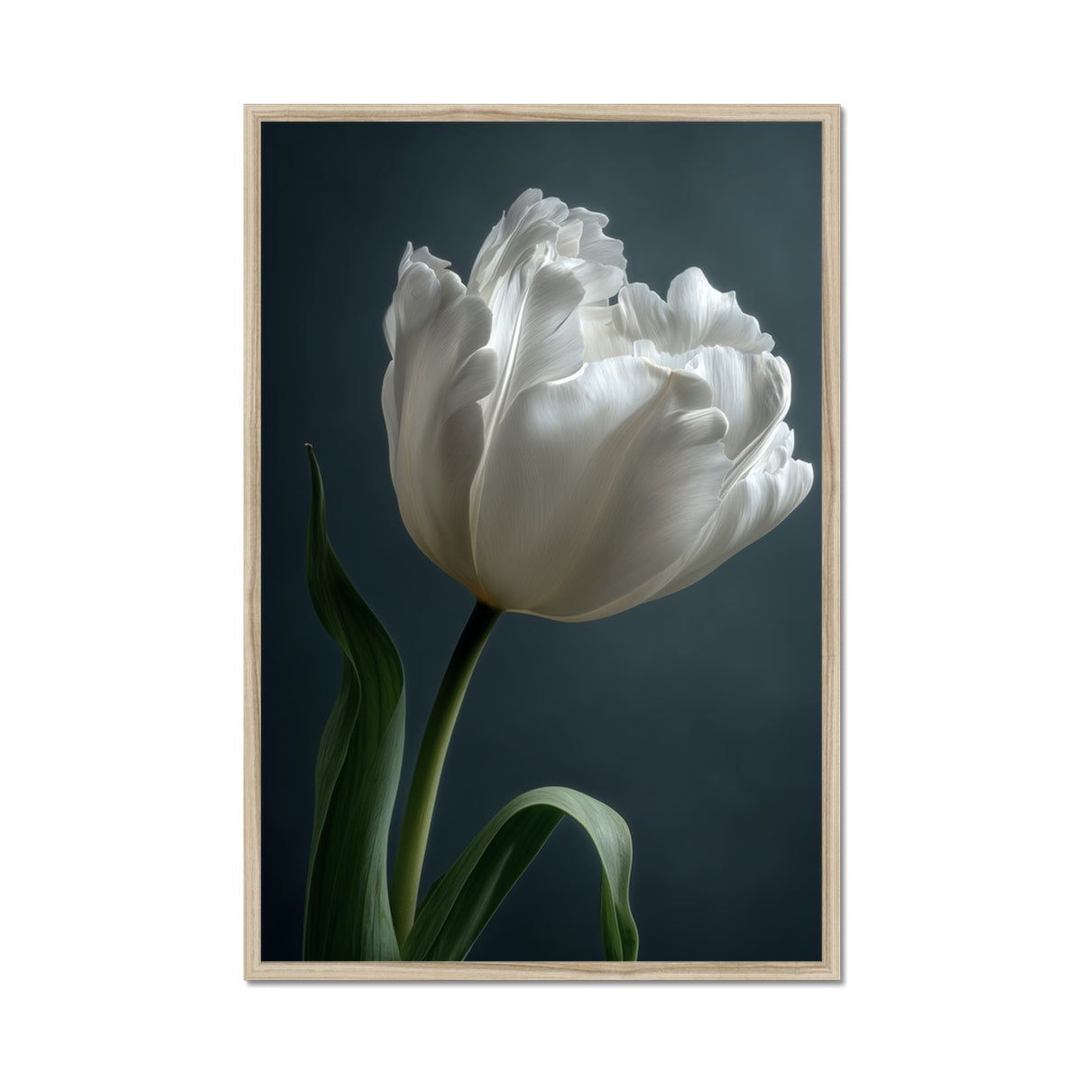 Jen Fargeot Creative | Botanical | Wall Art | Feather Tulip | Framed Print