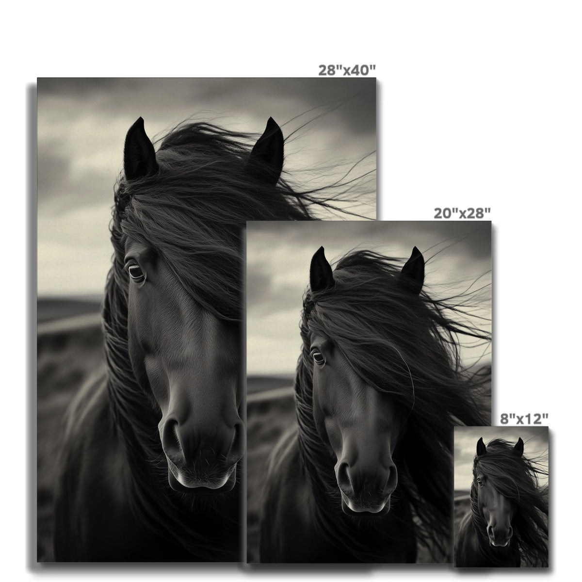 Jen Fargeot Creative | Animal | Wall Art | Horse in the Wind | Canvas