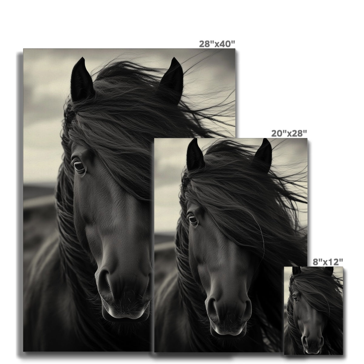 Jen Fargeot Creative | Animal | Wall Art | Horse in the Wind | Canvas