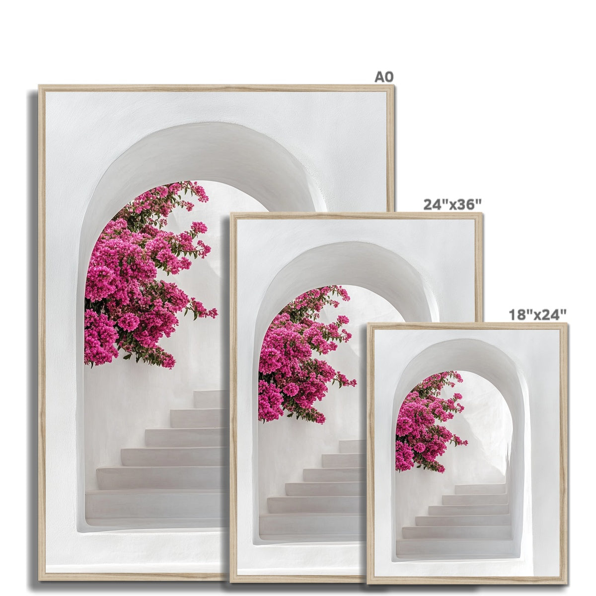 Jen Fargeot Creative | Architecture | Wall Art | Blossoms & Arch | Framed Print