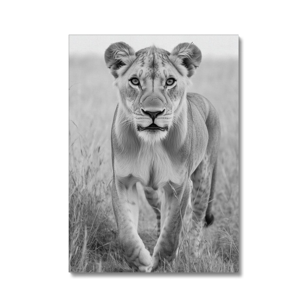 Jen Fargeot Creative | Animal | Wall Art | Grace In The Wild | Canvas