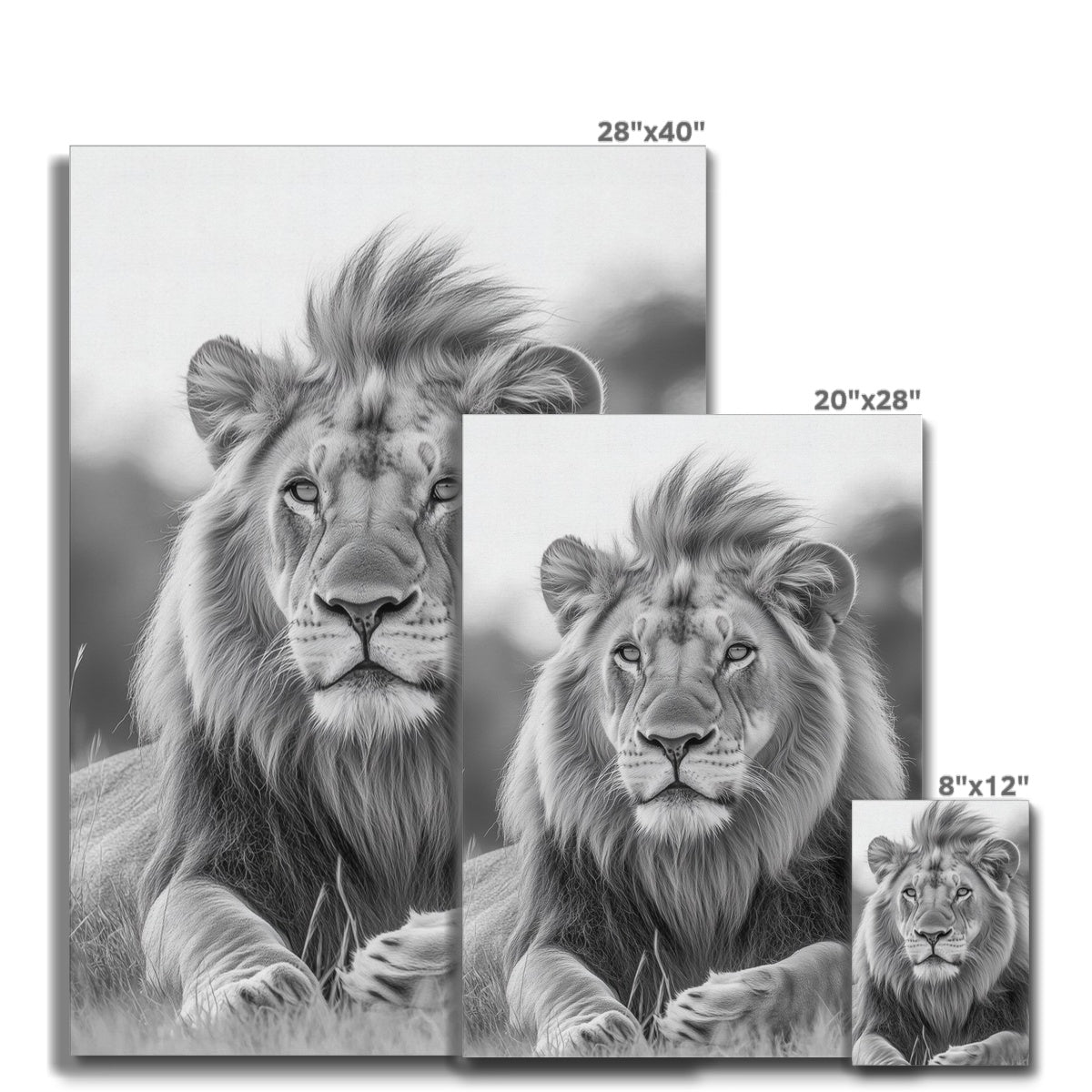 Animal | Wall Art | Majestic Lion of the Savanna | Canvas