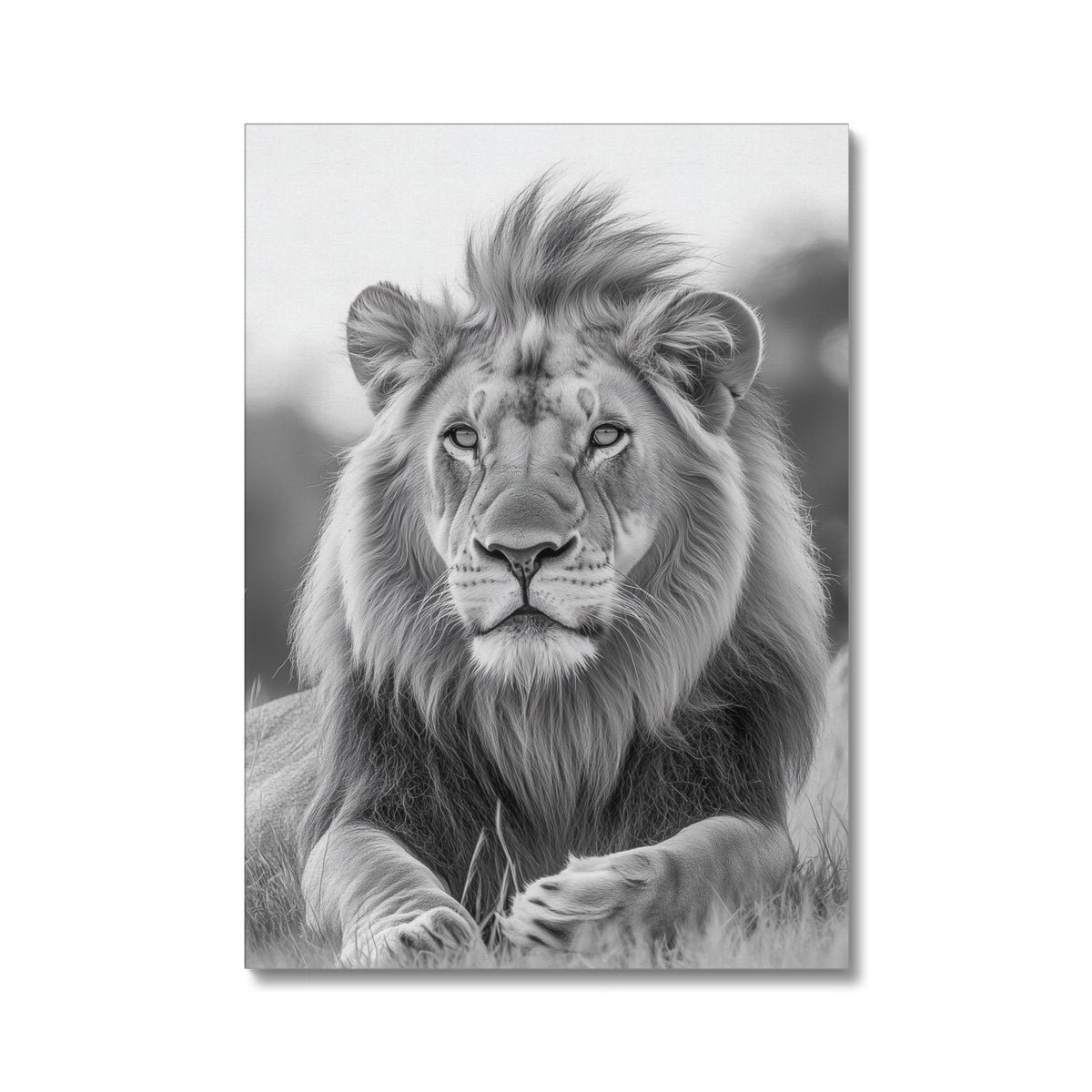 Animal | Wall Art | Majestic Lion of the Savanna | Canvas