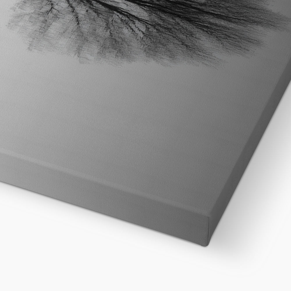 Jen Fargeot Creative | Black & White | Wall Art | Reflection of Silent Strength Tree | Canvas
