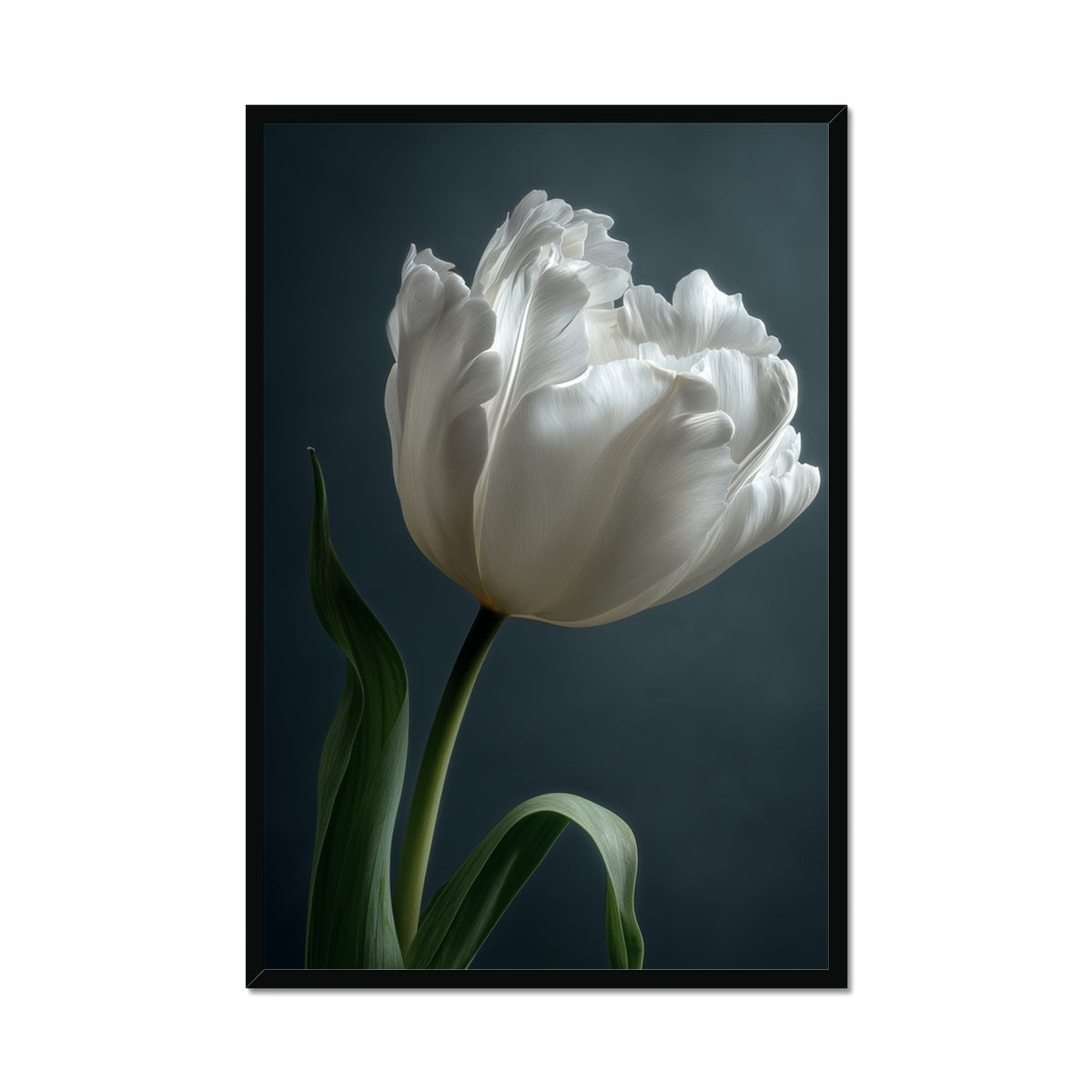 Jen Fargeot Creative | Botanical | Wall Art | Feather Tulip | Framed Print