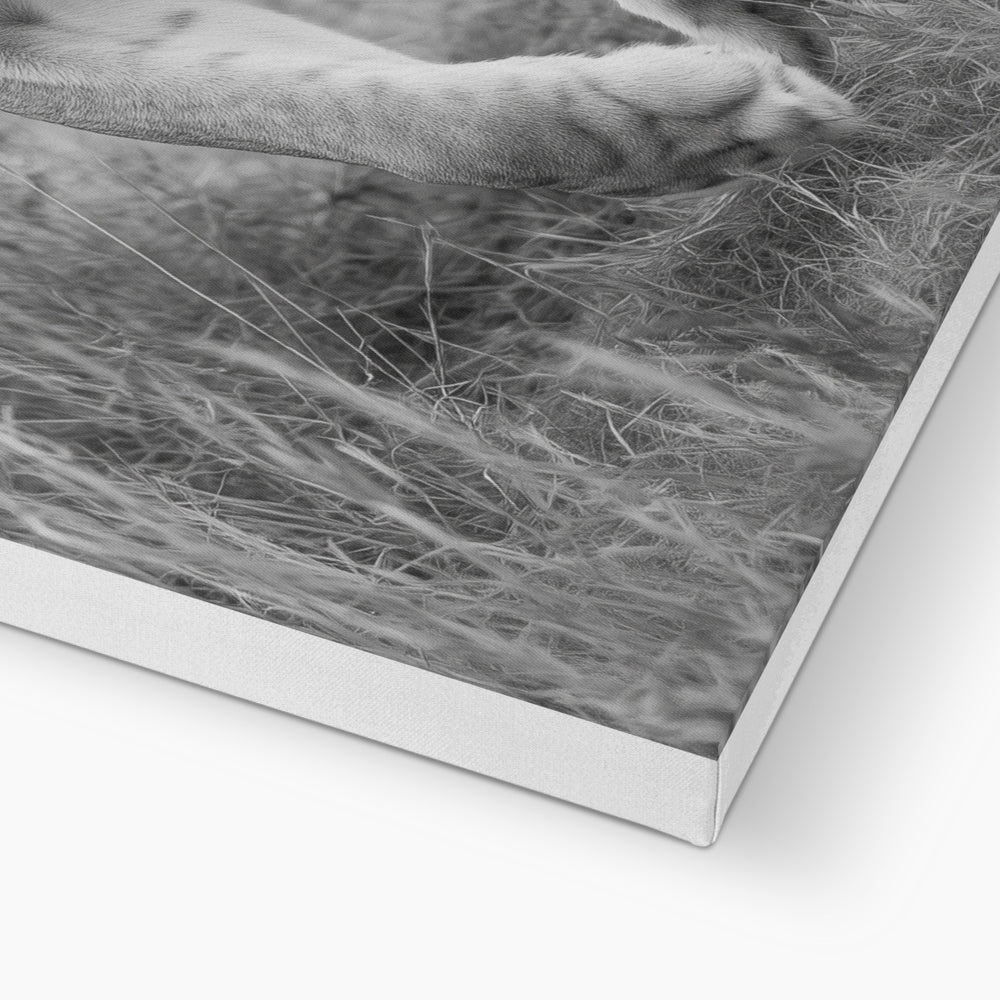 Jen Fargeot Creative | Animal | Wall Art | Grace In The Wild | Canvas