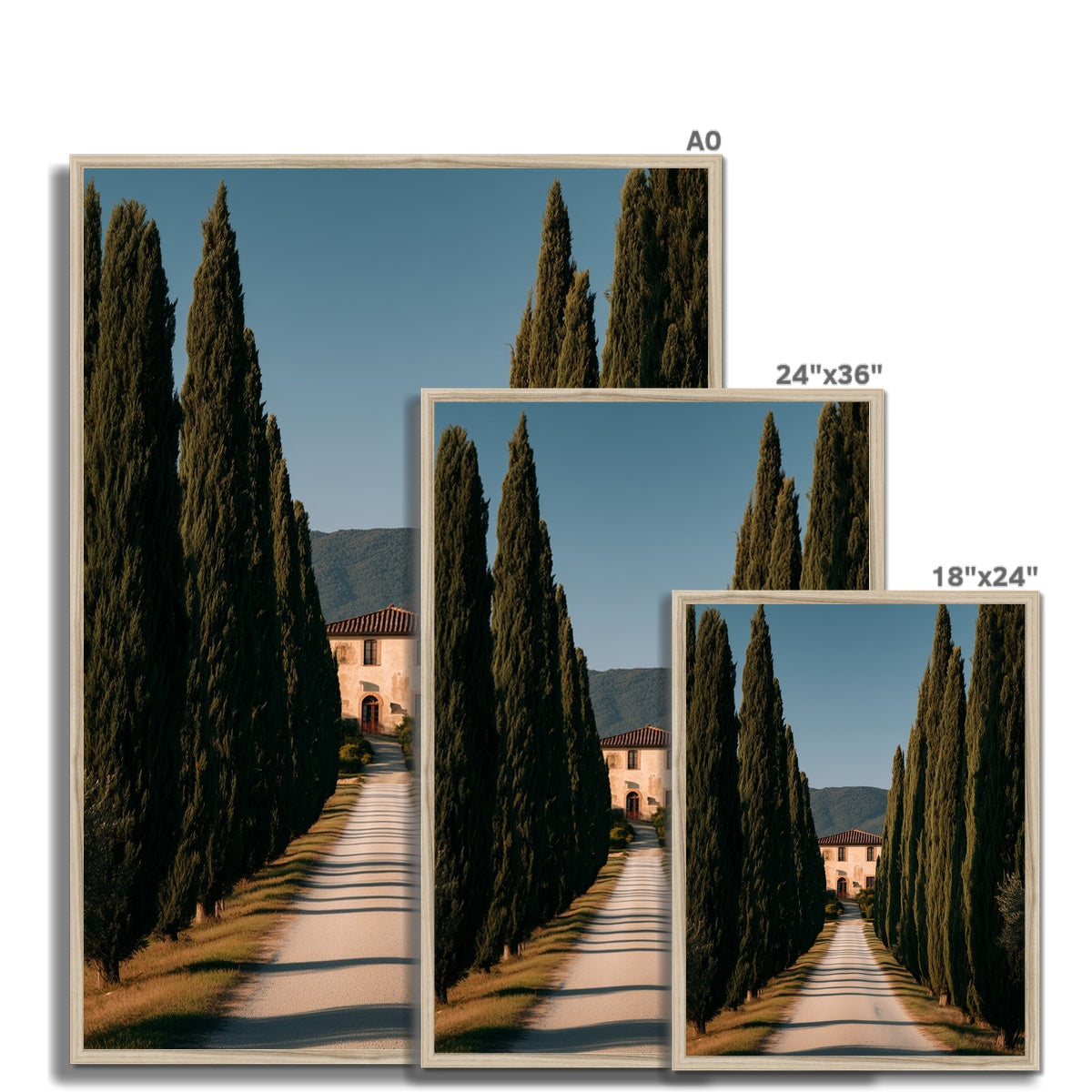 Jen Fargeot Creative | Mediterranean | Wall Art | A Tuscany Road | Framed Print