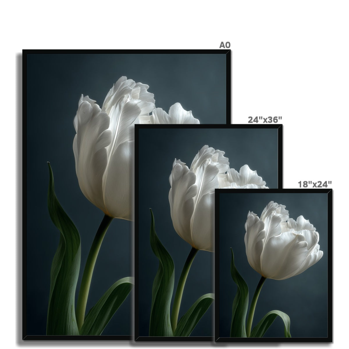 Jen Fargeot Creative | Botanical | Wall Art | Feather Tulip | Framed Print