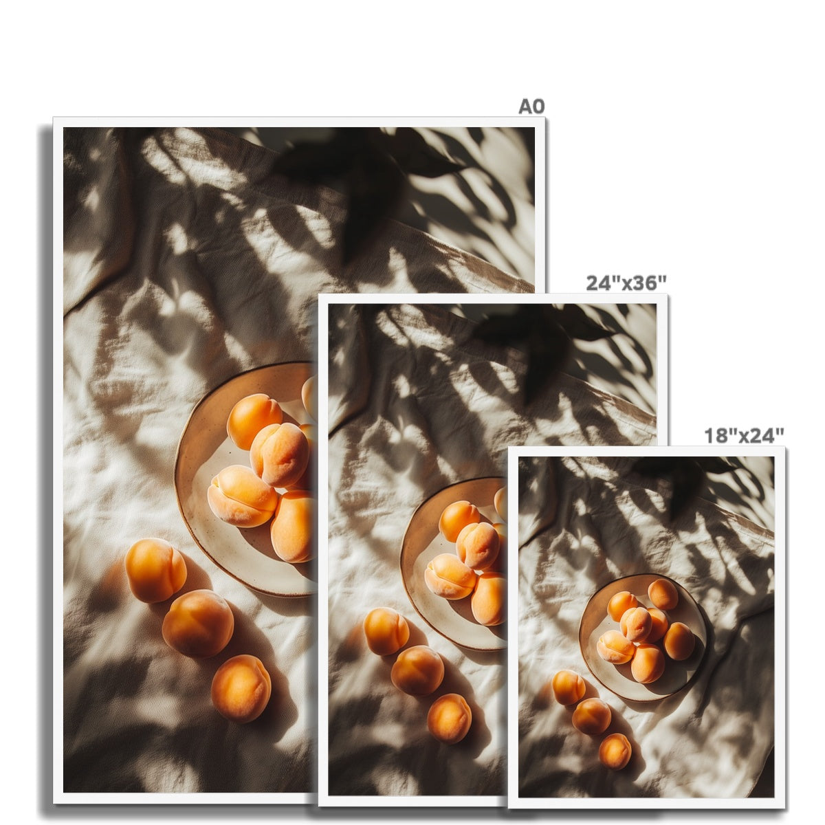 Jen Fargeot Creative | Mediterranean | Wall Art | Apricots and Sunshine | Framed Print