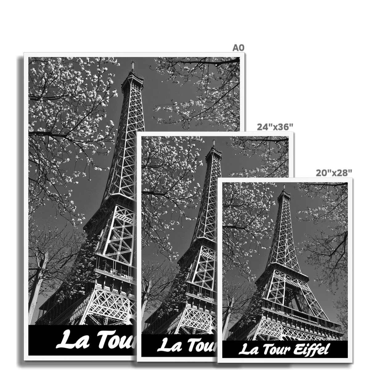 Jen Fargeot Creative | Black & White | Wall Art | La Tour Eiffel | Framed Print