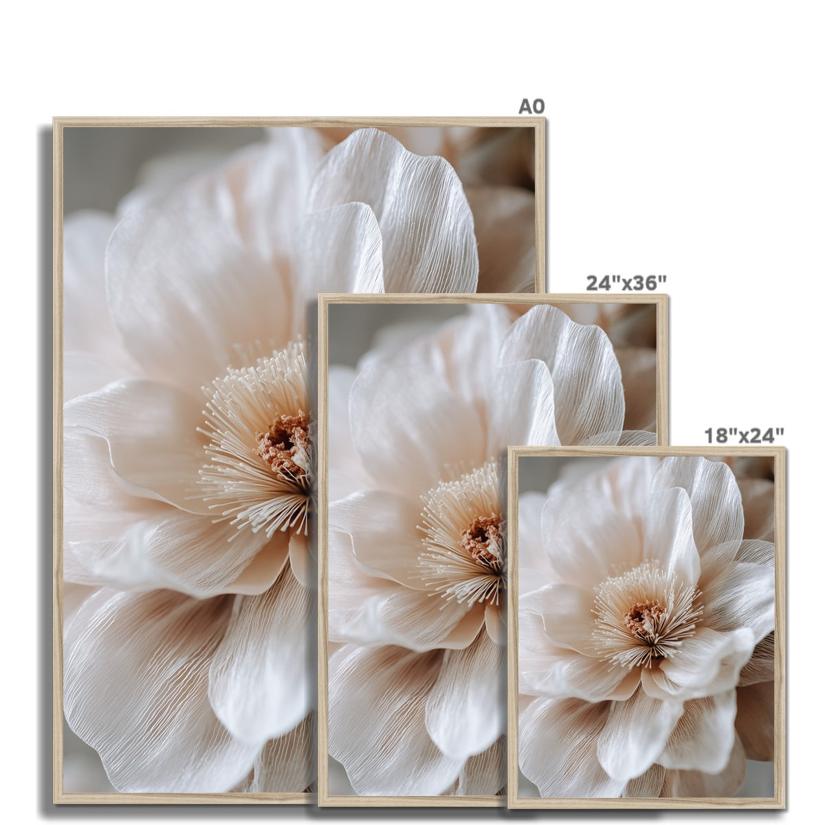 Jen Fargeot Creative | Botanical | Wall Art | Silk Petals (2) | Framed Print
