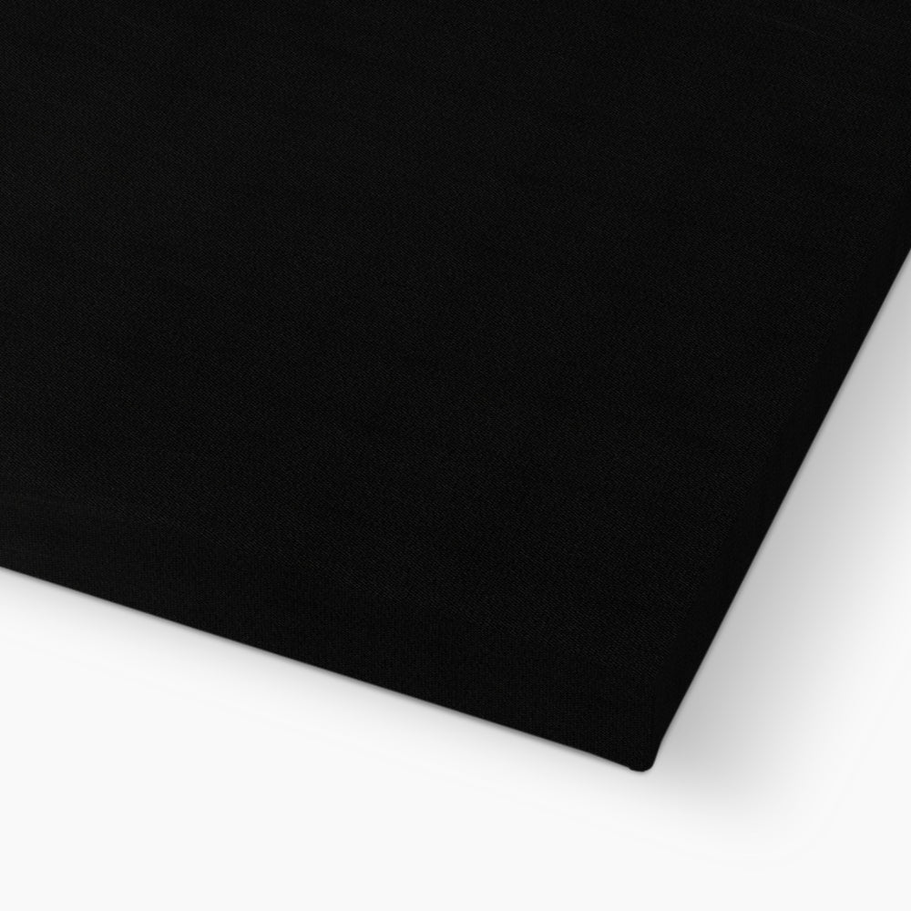 Jen Fargeot Creative | Black & White | Wall Art | Solitude in Shadows | Canvas