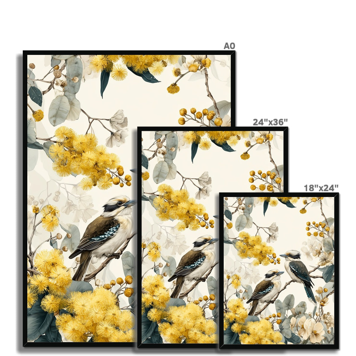 Jen Fargeot Creative | Watercolour | Wall Art | Australian Flora & Fauna | Framed Print