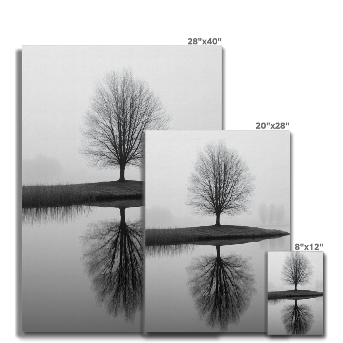 Jen Fargeot Creative | Black & White | Wall Art | Reflection of Silent Strength Tree | Canvas