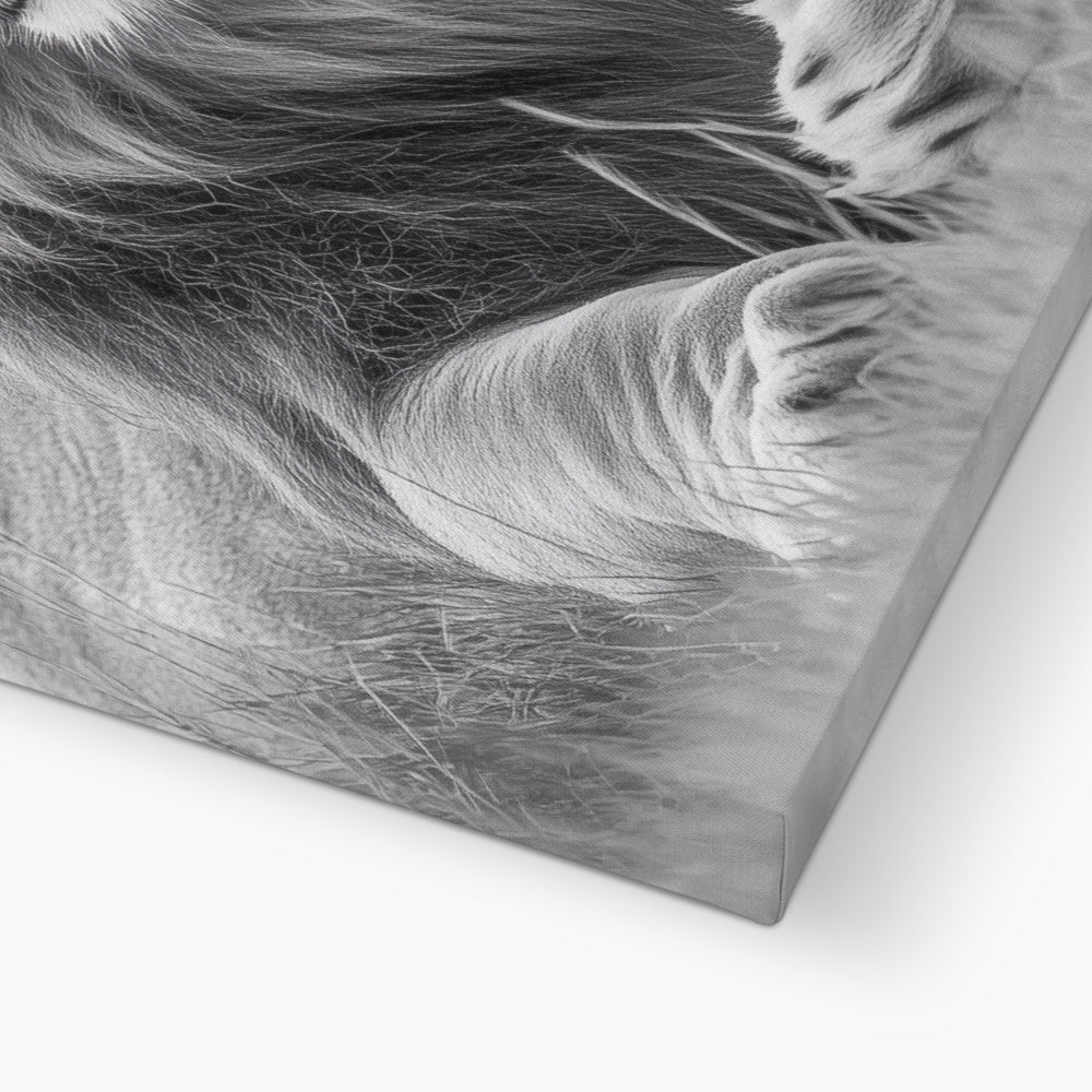 Animal | Wall Art | Majestic Lion of the Savanna | Canvas