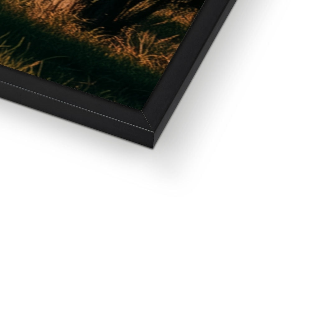 Jen Fargeot Creative | Mediterranean | Wall Art | A Tuscany Road | Framed Print