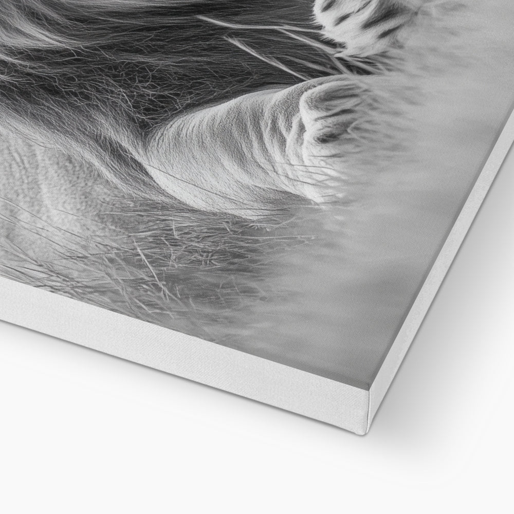 Animal | Wall Art | Majestic Lion of the Savanna | Canvas