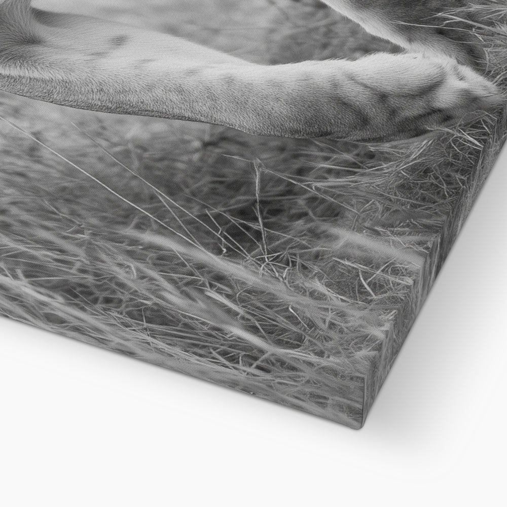 Jen Fargeot Creative | Animal | Wall Art | Grace In The Wild | Canvas