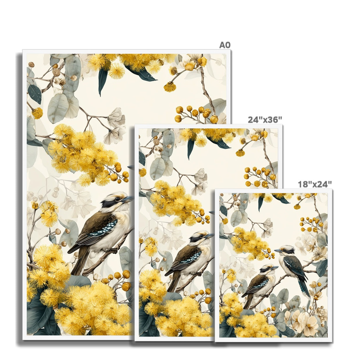 Jen Fargeot Creative | Watercolour | Wall Art | Australian Flora & Fauna | Framed Print