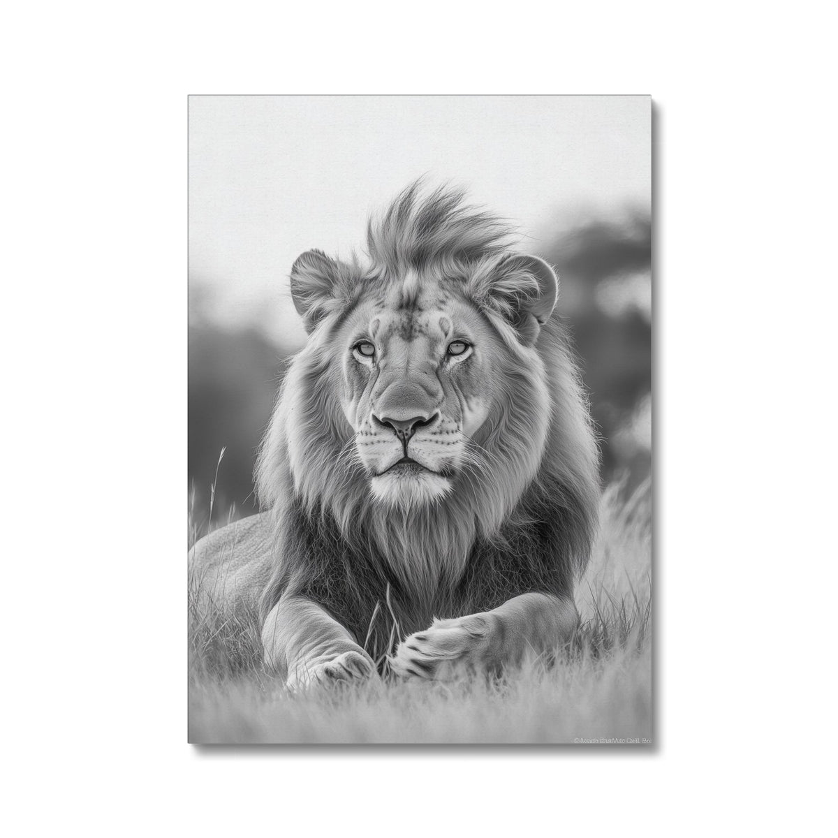 Jen Fargeot Creative | Animal | Wall Art | Majestic Lion of the Savanna | Canvas