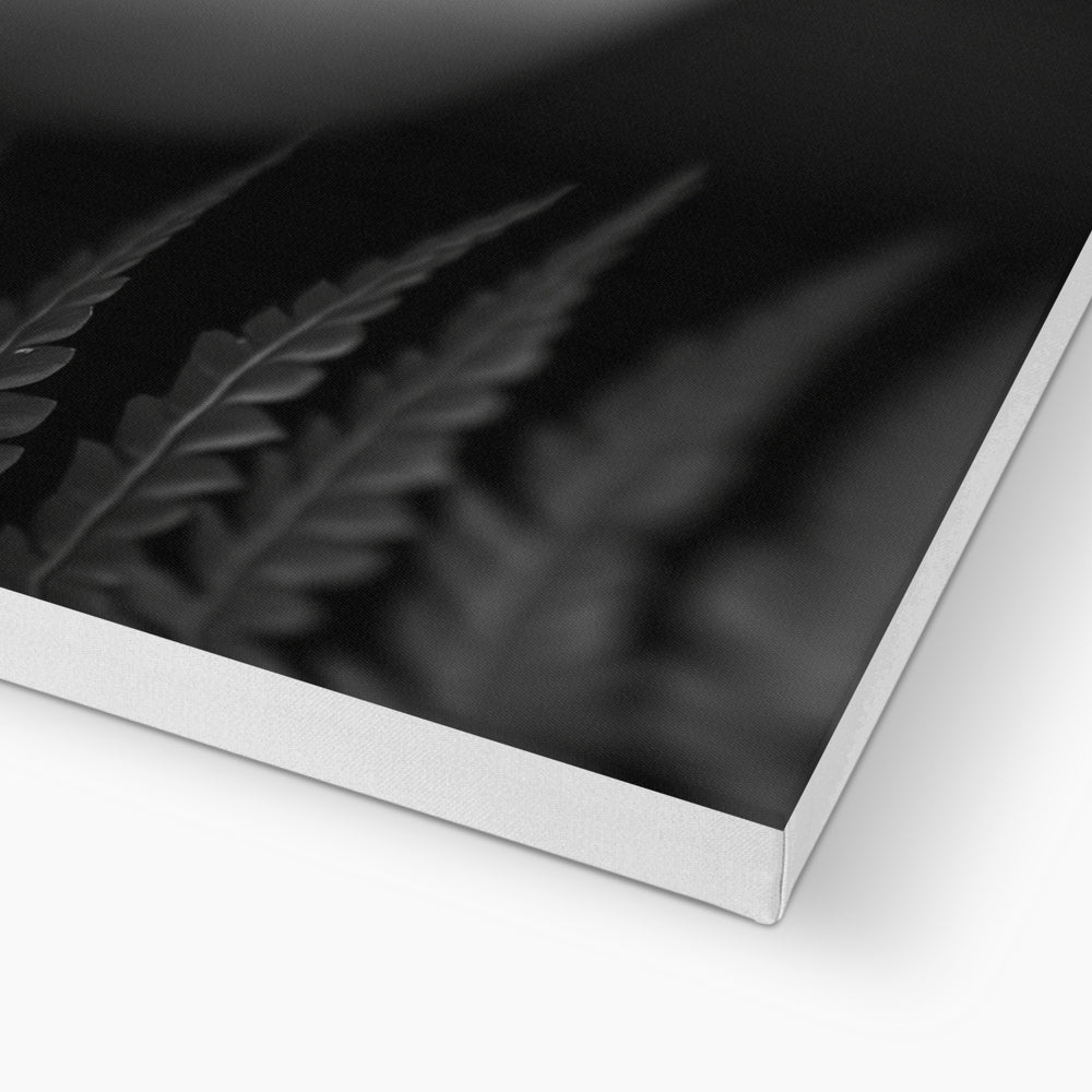 Jen Fargeot Creative | Black & White | Wall Art | Girl Behind Fern Leaves | Canvas