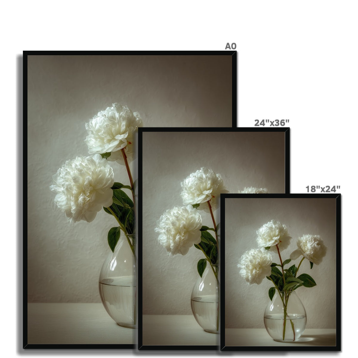 Jen Fargeot Creative | Botanical | Wall Art | White Peonies | Framed Print